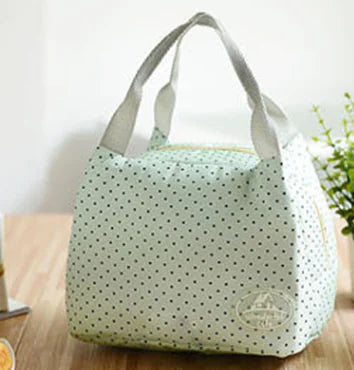 Insulated Lunch Bag for Picnic and Food Storage